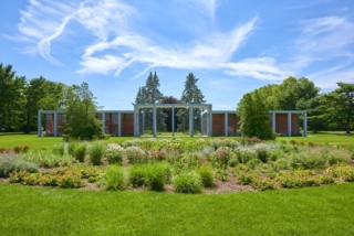 Complex I Perennial Garden