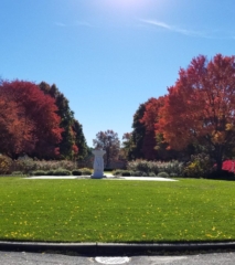 Louis Natalie Mall Fall Foliage
