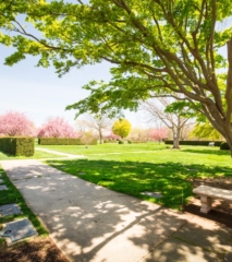 Memorial Garden