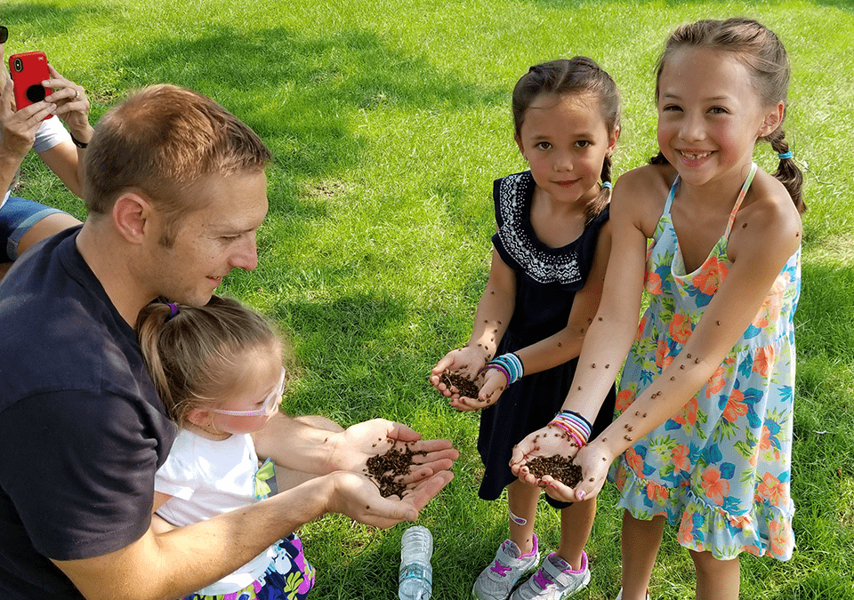 Ladybug Release Events Children