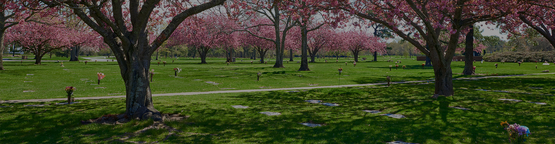 Visitation Disclaimer