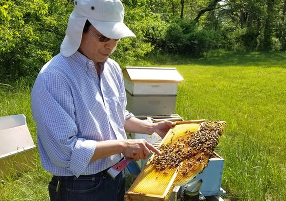 Honeybee expert pointing at honeycomb with bees on it