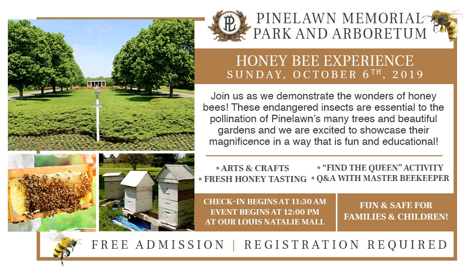Honeybee experience event image