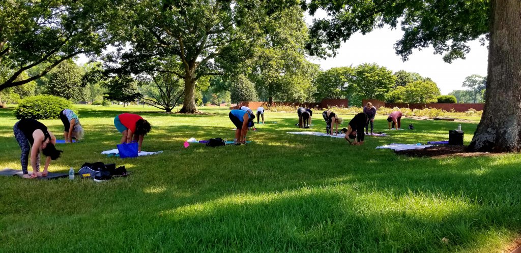People bending over in yoga post outside under trees