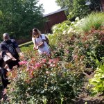 people in the garden holding ladybugs