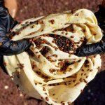 hands holding a bag of ladybugs open