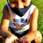 young boy with ladybugs in hands and on arms