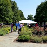 people in the garden with tent in the distance