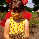 young girl in ladybug costume