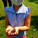 young girl holding ladybugs in her hands
