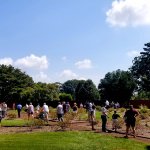 group of people in garden from a distance
