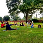 Group of people doing yoga in sitting pose on grass