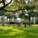 People doing yoga in sitting pose on grass under trees