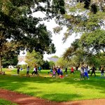 People doing yoga in the shade of trees on grass