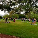 People doing yoga on green grass under large trees