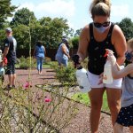 child spraying the plants with spray bottle