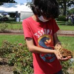 young boy holding a plant and ladybugs
