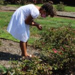 young girl placing ladybugs on a plant