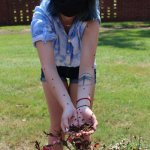 girl holding ladybugs over plant