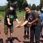 people holding ladybugs