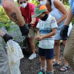 people being handed ladybugs