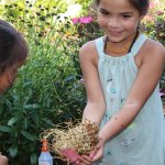young girl holding grass and ladybugs