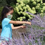 young girl with ladybugs on her arm placing ladybugs on plants