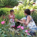 people in garden with ladybugs placing them on roses