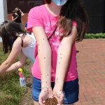 girl with ladybugs in her hands and on her arms