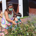 mother and child placing ladybugs on plants