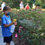 young boy using spray bottle to spray down plants
