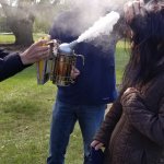 Smoke machine for bee hives