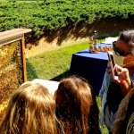 people looking at honey comb with bees
