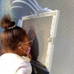 girl looking at honey bees behind a screen