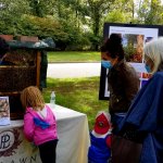 children looking at honey bees in a hive