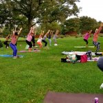 people doing yoga poses outside on grass