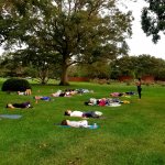 people outside on grass doing yoga