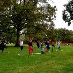 people in standing yoga pose near tree outside