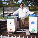Bee keeper with bee hives