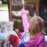 children pointing at honey bees
