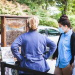 people looking at bees