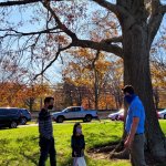 pinelawn employee speaking with people about trees