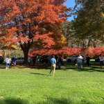 autumn trees and people in the distance