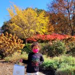 young girl posing in front of autumn foliage