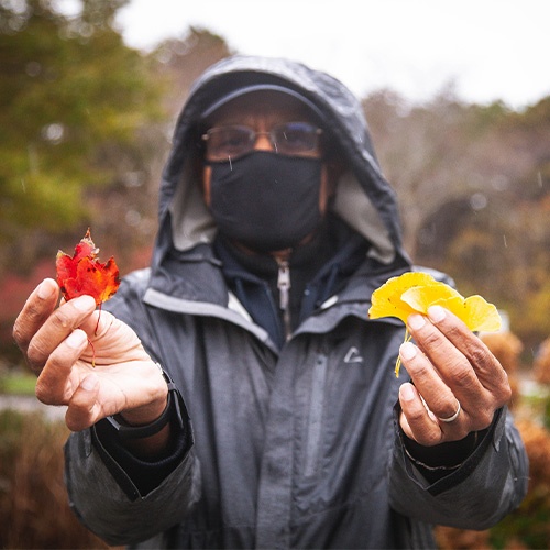 Fall Foliage Tour, Nov. 1st & Nov. 8th, 2020