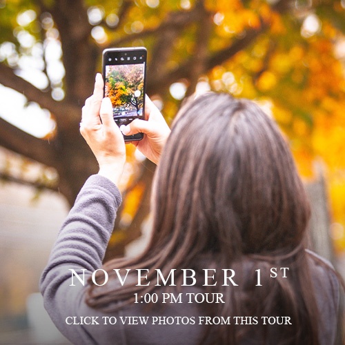 Fall Foliage Tour, Nov. 1st & Nov. 8th, 2020