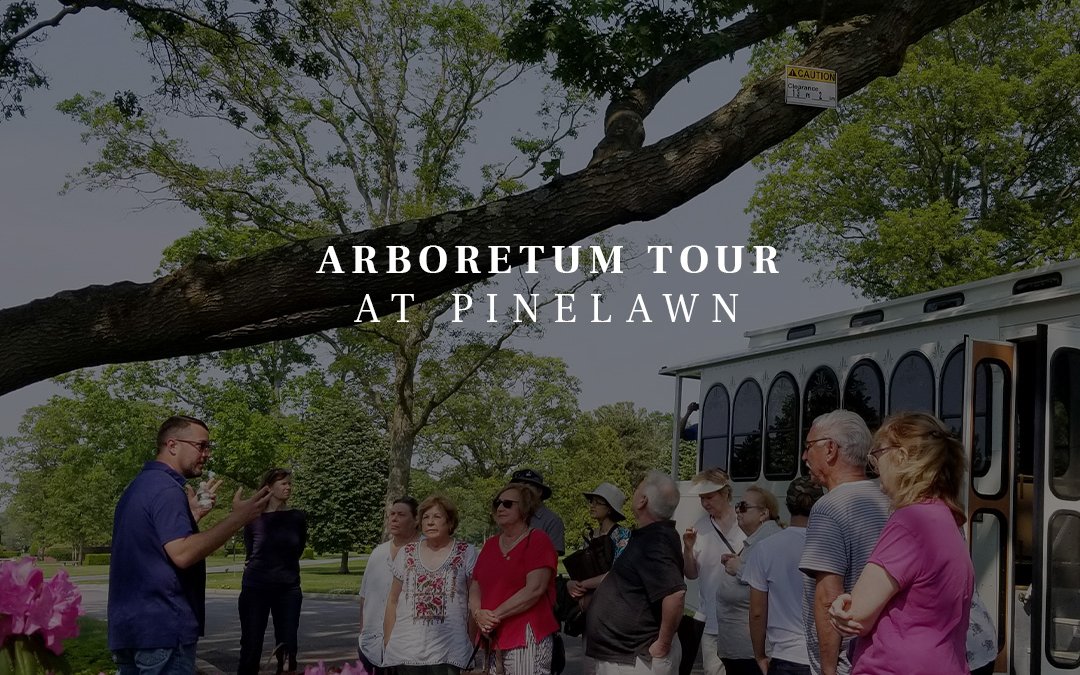 Arboretum tour