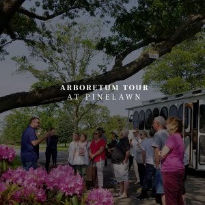 Arboretum tour