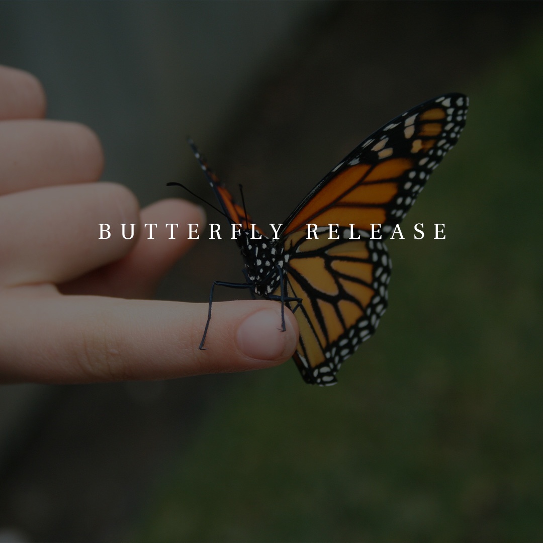 Butterfly release