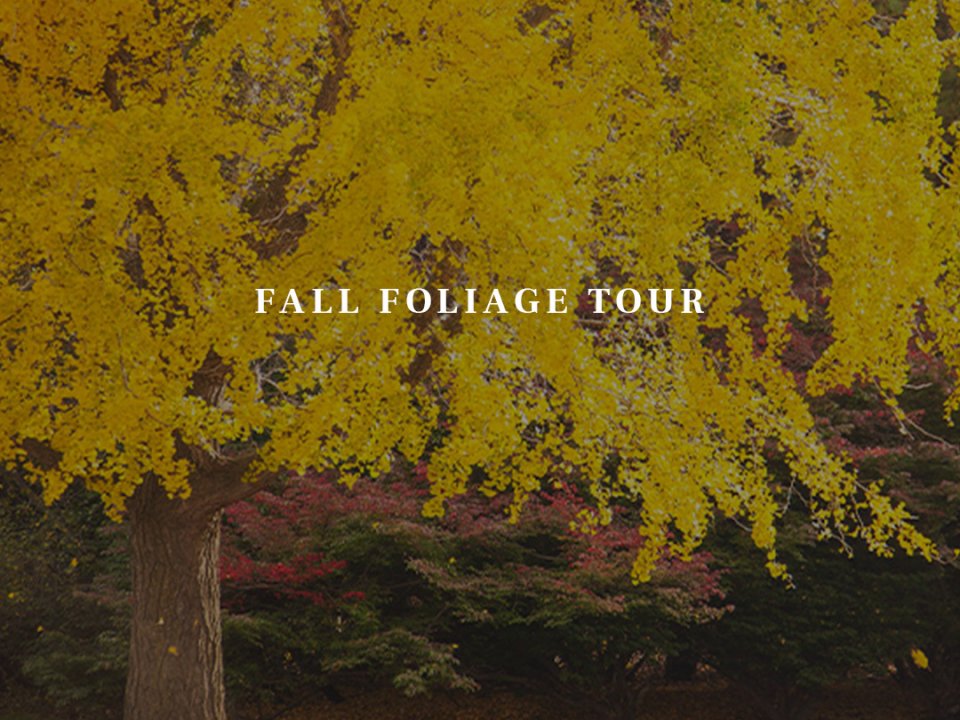 Fall Foliage Tour